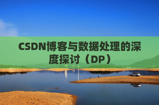 CSDN博客与数据处理的深度探讨（DP）